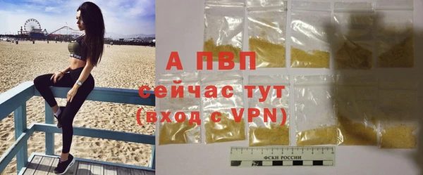 спиды Зеленокумск