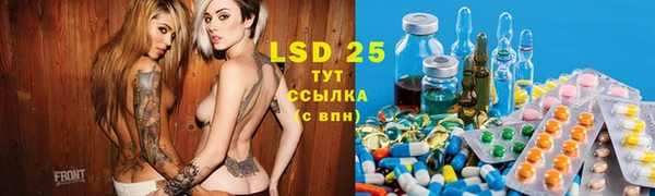 спиды Зеленокумск
