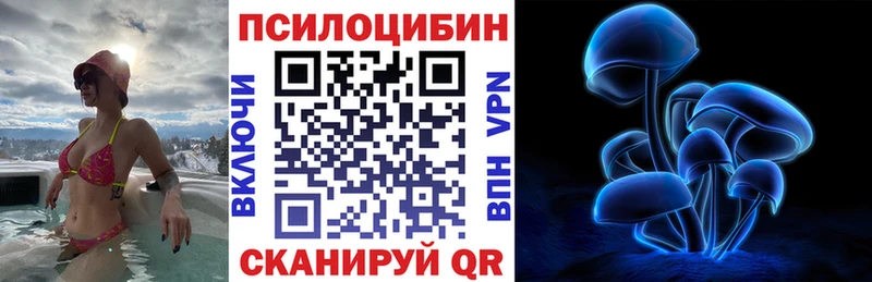 блэк спрут рабочий сайт  Камызяк  Галлюциногенные грибы мухоморы 