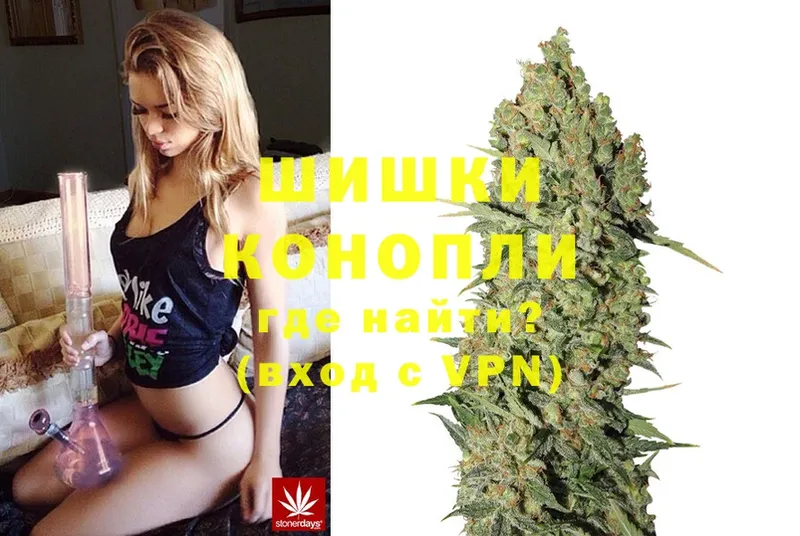 omg как зайти  Камызяк  Марихуана SATIVA & INDICA  закладка 