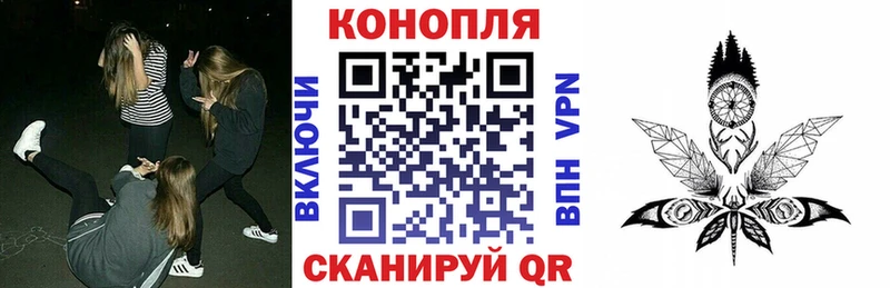 мориарти формула  дарнет шоп  Камызяк  Бошки марихуана AK-47 